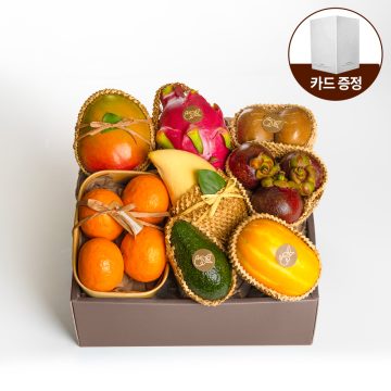프리미엄 과일선물세트 친환경포장 3호