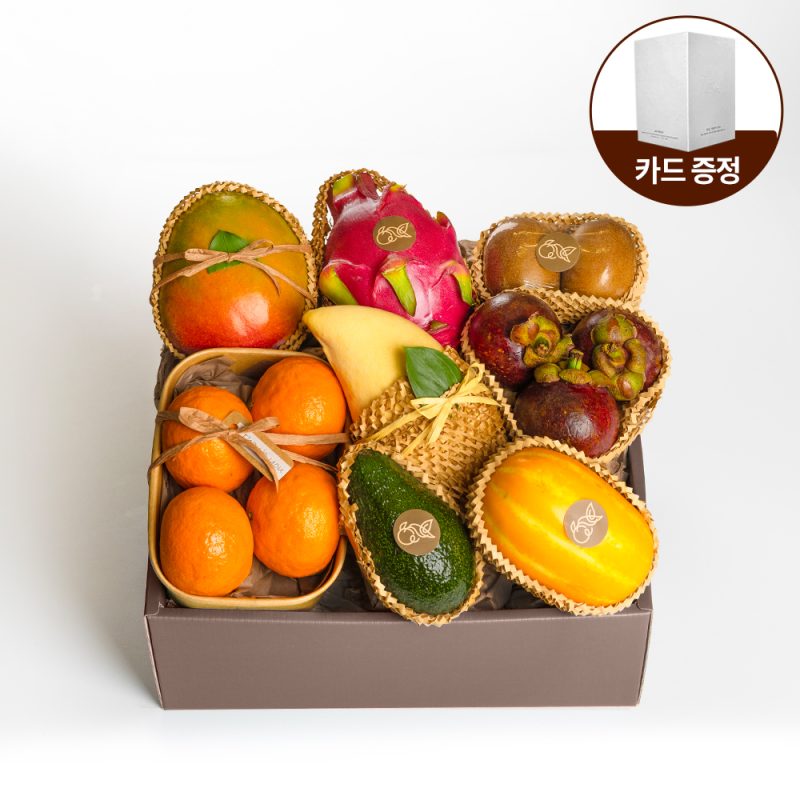 프리미엄 과일선물세트 친환경포장 3호