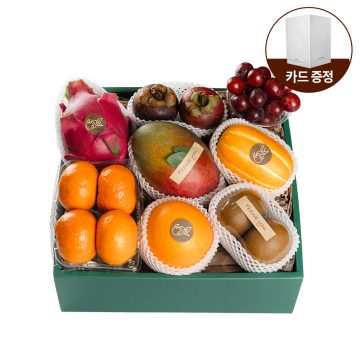프리미엄 제철과일 3호